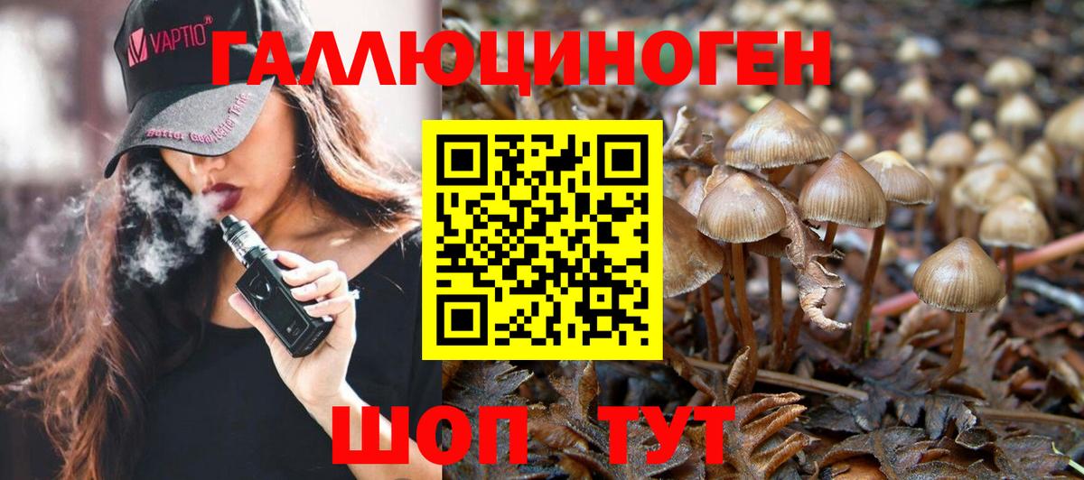 Псилоцибиновые грибы Magic Shrooms Прохладный