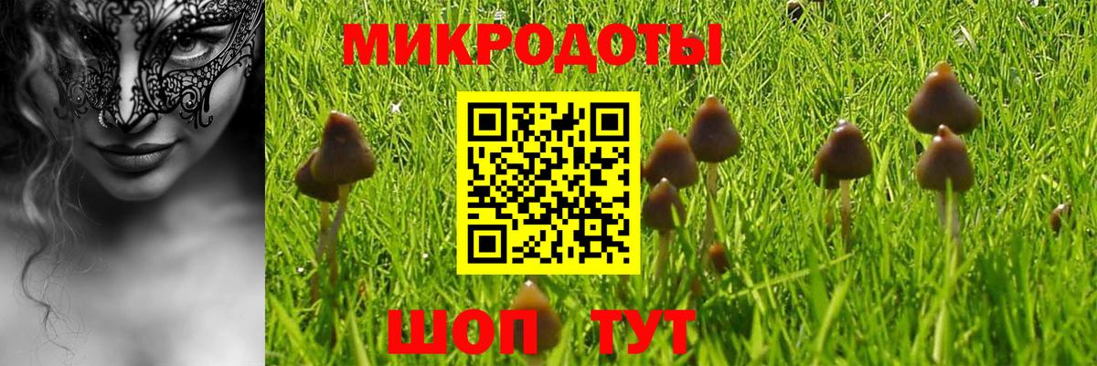 Прохладный  Псилоцибиновые грибы Magic Shrooms  Псилоцибиновые грибы прущие грибы  Вход с VPN 